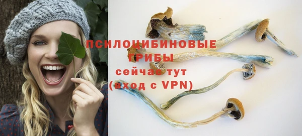 гидропоника Заводоуковск