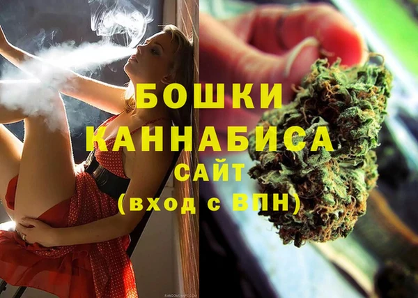 сатива Заволжье