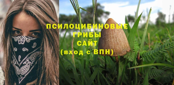 тгк Няндома