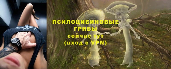 гидропоника Заводоуковск
