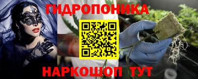 скорость Донской