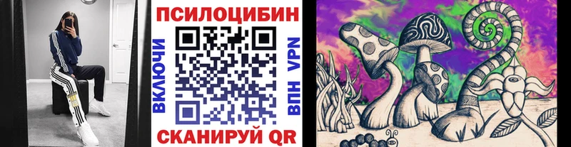 Псилоцибиновые грибы GOLDEN TEACHER  где можно купить наркотик  Пыть-Ях 