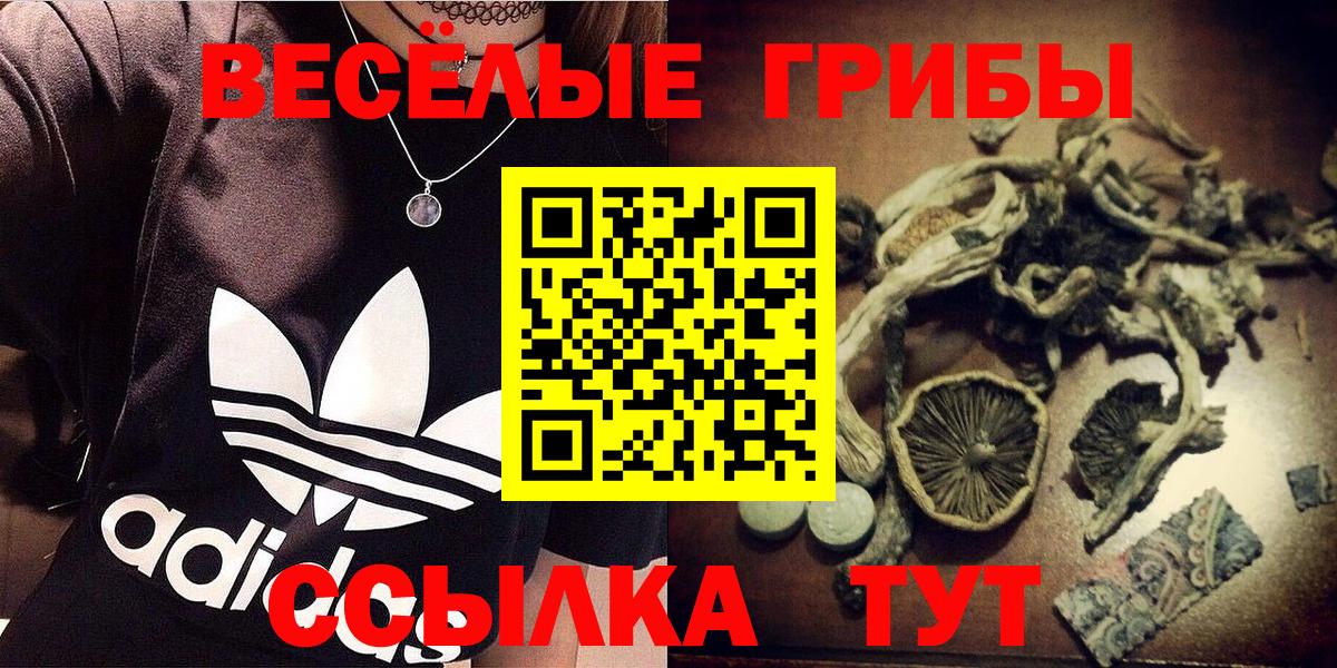 Пыть-Ях  Псилоцибиновые грибы Cubensis  закладка  Вход с VPN 