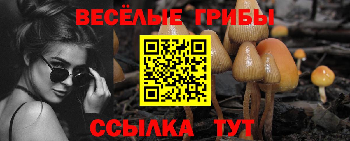 Галлюциногенные грибы GOLDEN TEACHER Пыть-Ях