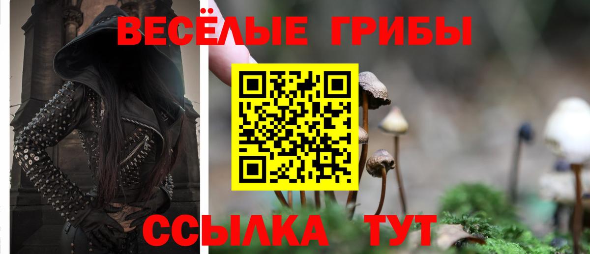 Галлюциногенные грибы Psilocybe  Пыть-Ях 